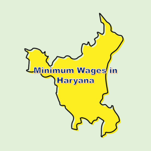 Minimum Wages in Haryana www.hrdeck.in
